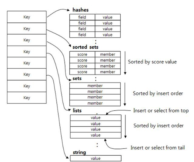 Redis 구조