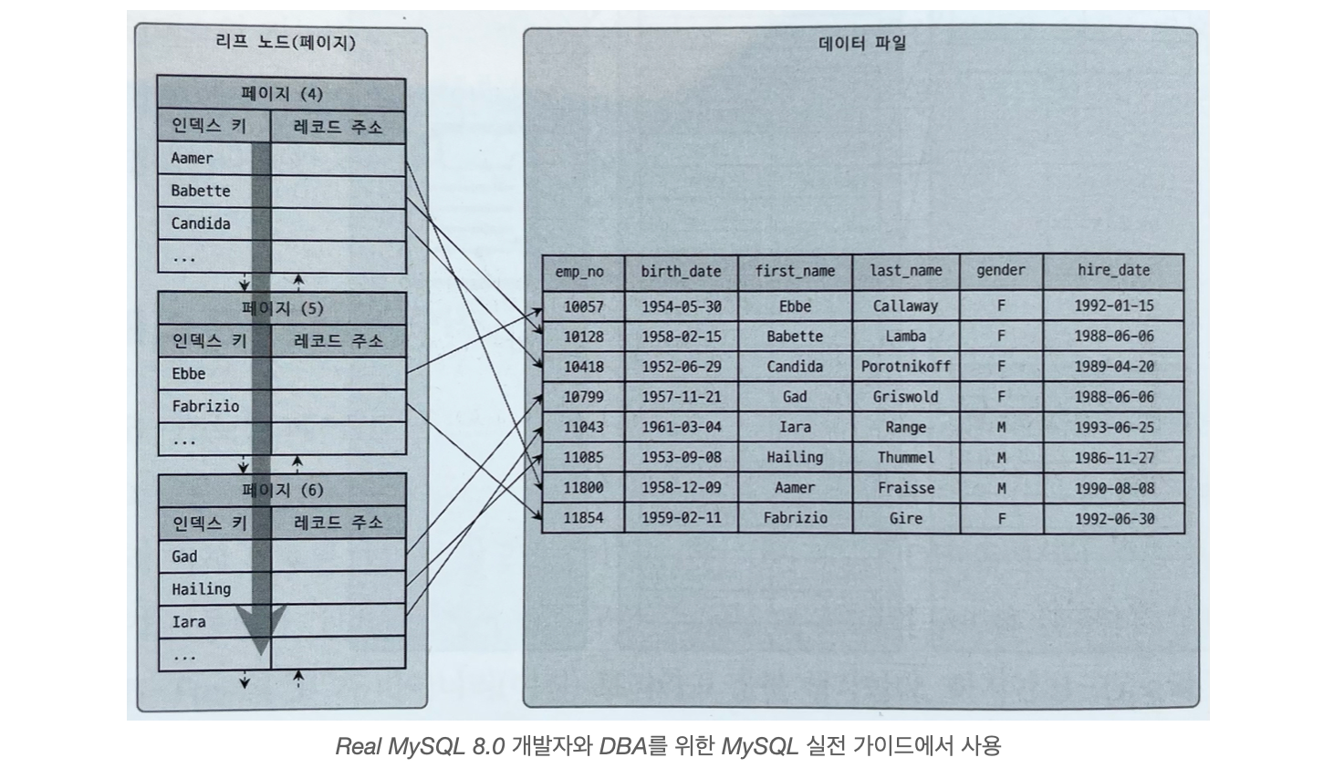 B-Tree의 리프 노드와 테이블 데이터 레코드(MyISAM)