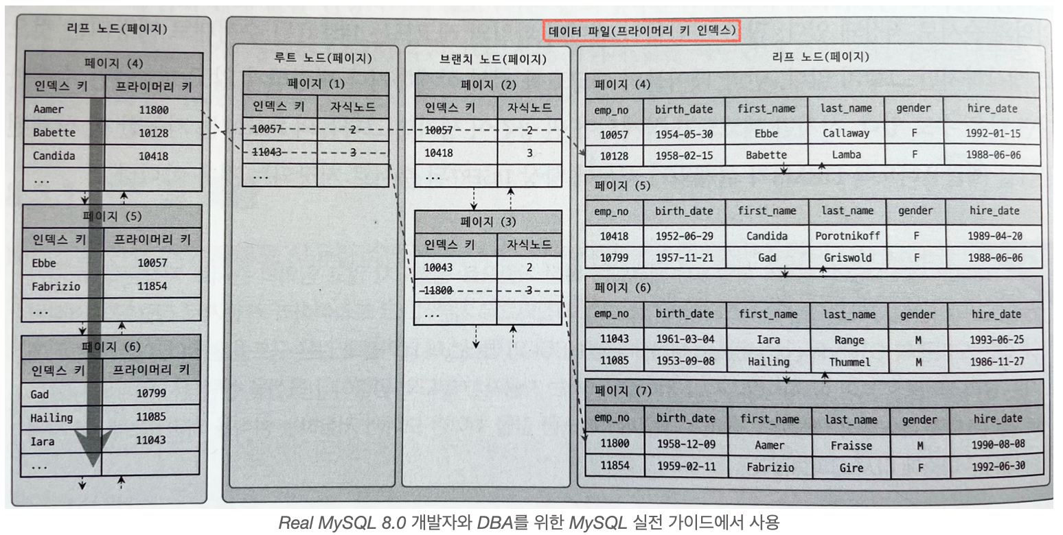 B-Tree의 리프 노드와 테이블 데이터 레코드(InnoDB)